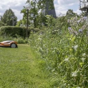 Rendre le jardin attrayant pour les propriétaires et les animaux