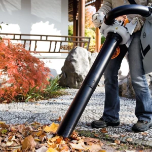 Ramasser les feuilles mortes à l’automne