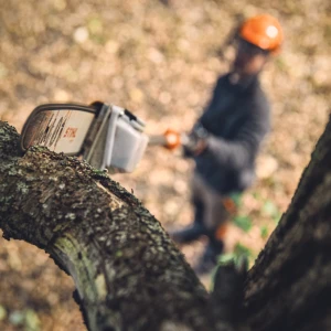 Zoom sur la Perche d'élagage à batterie STIHL HTA 160