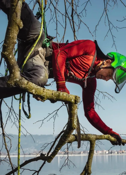 Les meilleurs accessoires pour casques forestiers PROTOS