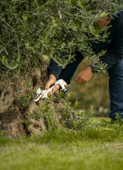 Le sécateur à batterie STIHL ASA 20