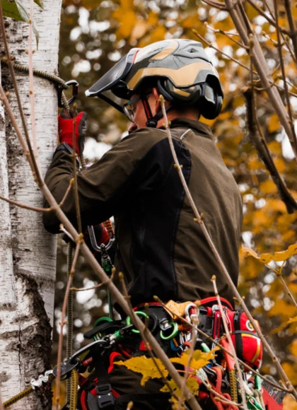 Nouveautés PFANNER 2026 : Technicité et confort au quotidien