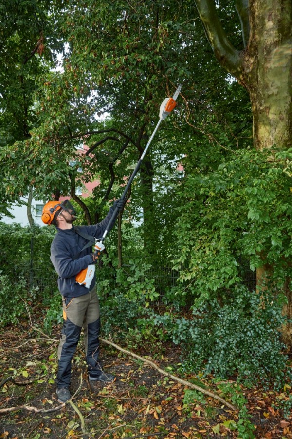 Un homme qui élague un arbre avec une perche