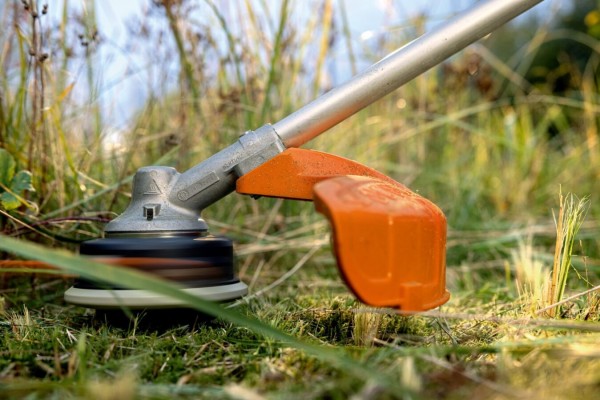 Une tête à fil en mouvement dans l'herbe