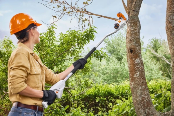 Scie de jardin sans fil sur batterie 10,8 V Stihl GTA 26 (sécateur