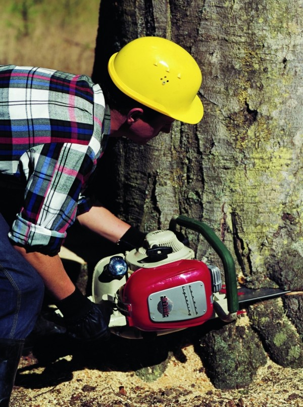 Un homme qui abat un arbre avec la STIHL Contra