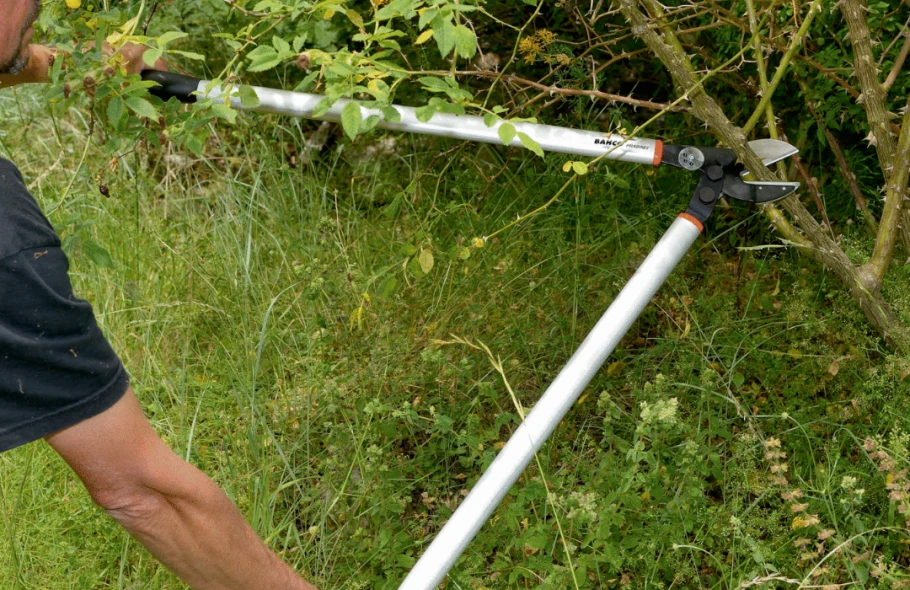Ébrancheurs : choisir le bon modèle et zoom sur la gamme BAHCO